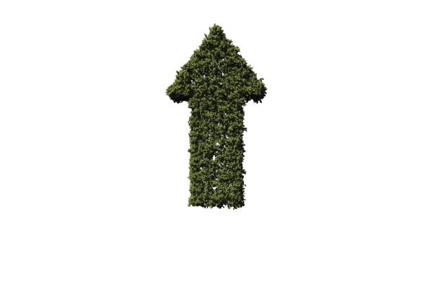 istock Green arrow made of leaves 842192824