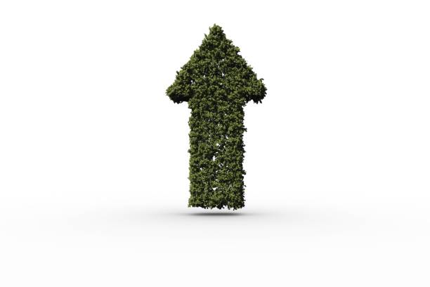 istock Green arrow made of leaves 842192846