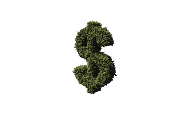istock Dollar sign made of leaves 842192906