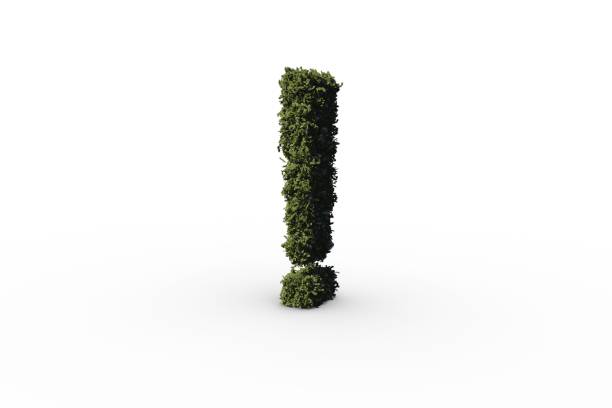 istock Exclamation mark made of leaves 842193468