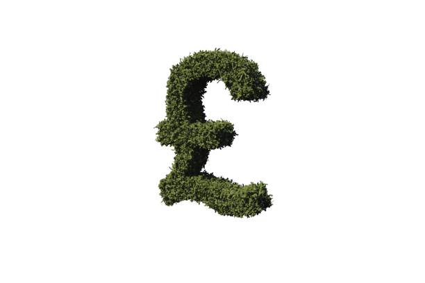 istock Pound sign made of leaves 842194984
