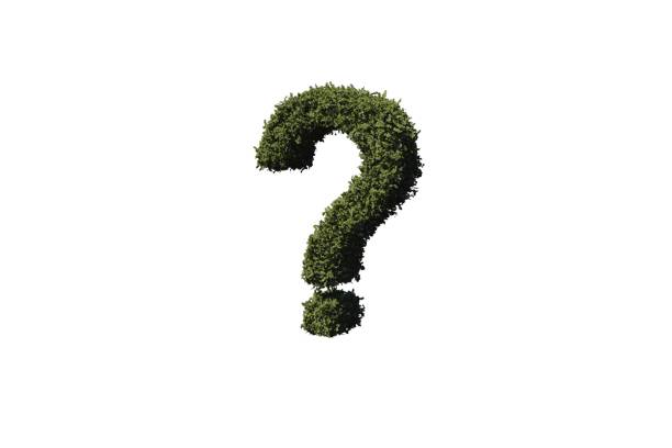 istock Question mark made of leaves 842194994