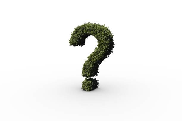 istock Question mark made of leaves 842195000