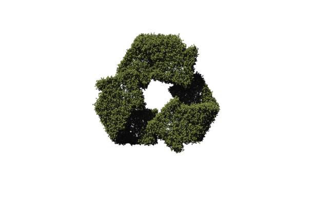 istock Recycling symbol made of leaves 842195014