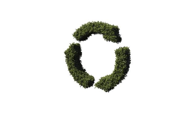 istock Recycling symbol made of leaves 842195038