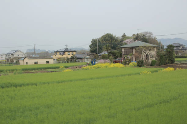 istock view of countryside by train 842196688