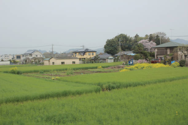 istock view of countryside by train 842196780