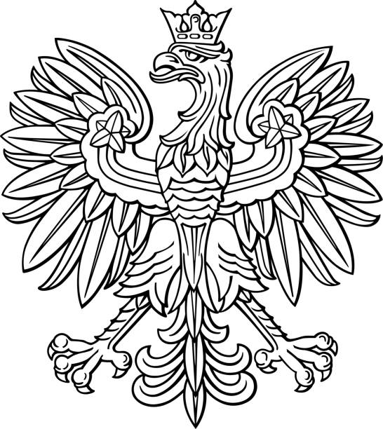 Poland eagle, polish national coat of arm Poland eagle, polish national coat of arm, detailed vector illustration. poland stock illustrations