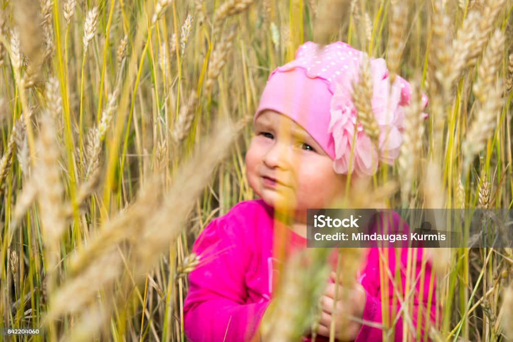 Niña jugando con una pajita y sentado en un campo de trigo amarillo. Fondo de verano hermoso - Foto de stock de Adulto libre de derechos
