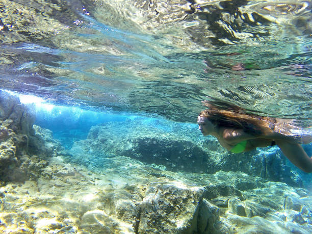 istock Young woman swimming underwater without mask 842206646