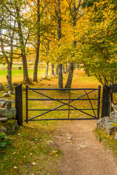 istock Closed gate in a garden in the fall 842209518