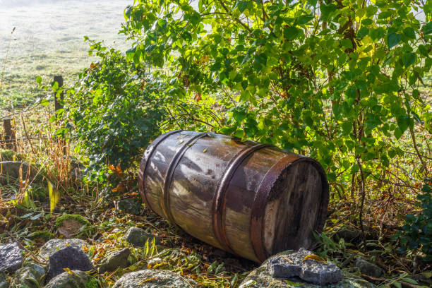 Old wooden barrel lying under a bush