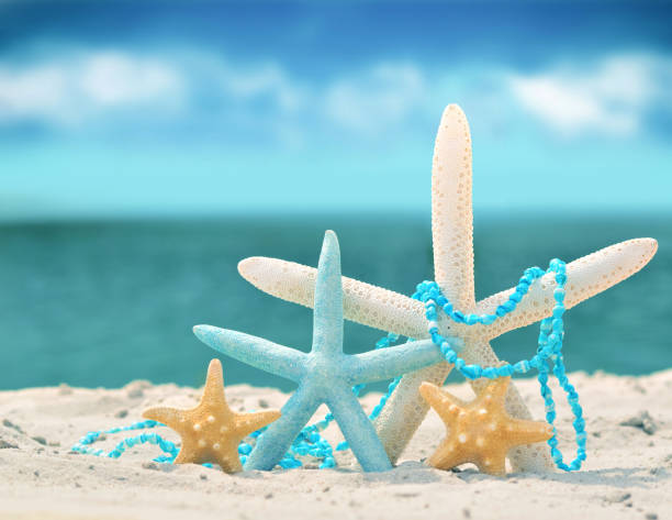 istock starfish on the summer beach with sand 842216370