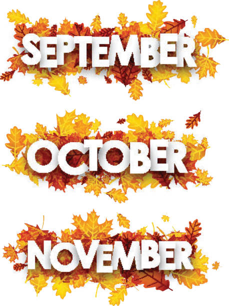 Autumn banners with orange leaves. September, October, November banners with maple and oak leaves. Vector paper illustration. october stock illustrations