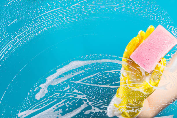 istock hand cleaning glass window pane with detergent 842231200
