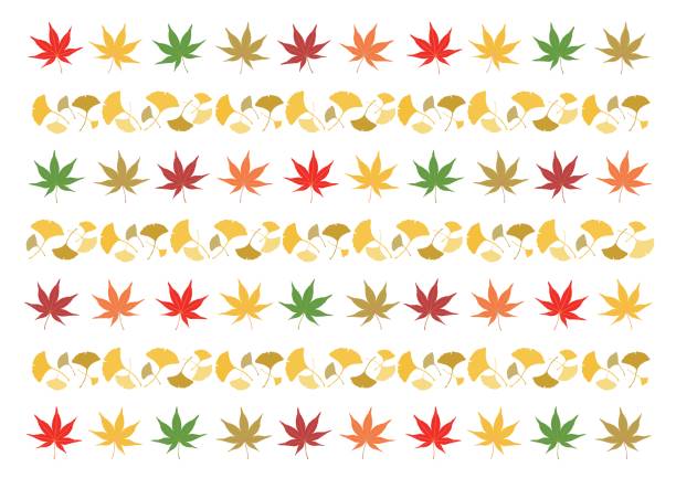illustrations, cliparts, dessins animés et icônes de illustration des feuilles d’automne - japanese maple