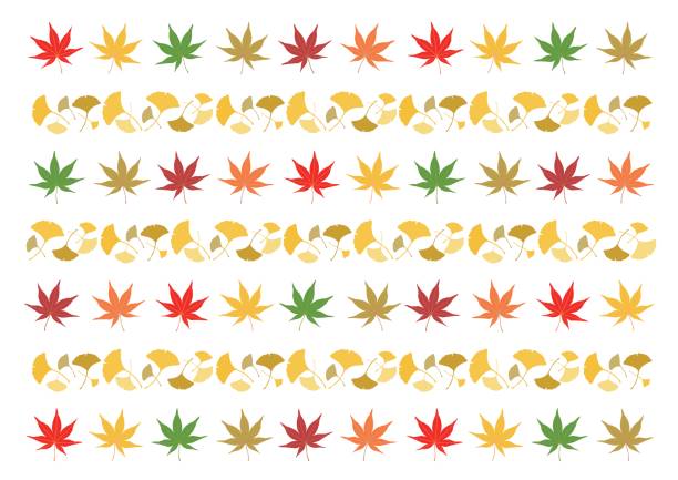 Illustration of autumn leaves Illustration of autumn leaves Japanese Maple stock illustrations