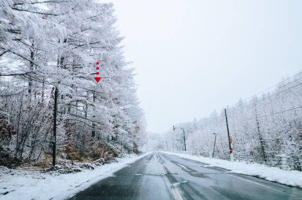istock Winter at Biei, Hokkaido, Japan. 842234722