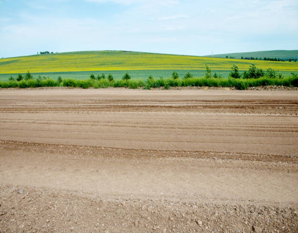 istock Country road in green fields 842237952
