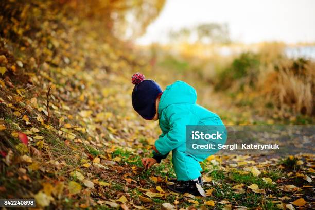 Chico Lindo Feliz En Otoño Las Hojas En El Parque Copyspace Foto de stock y más banco de imágenes de 6-7 años