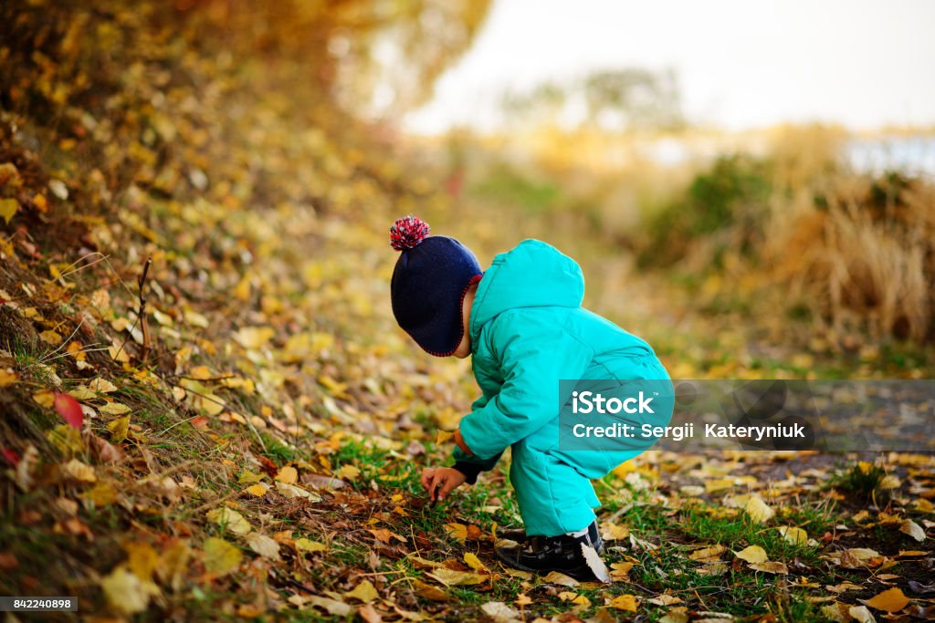 Happy cute boy with autumn leaves in the park - copyspace Happy cute boy with autumn leaves in the park 6-7 Years Stock Photo
