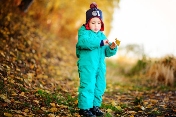 istock Happy cute boy with autumn leaves in the park - copyspace 842240924