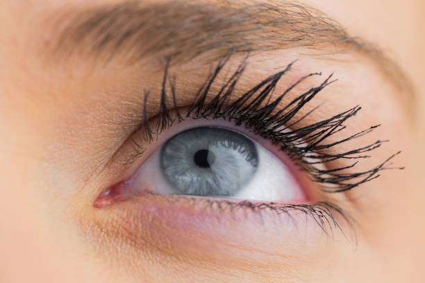 istock Close up of female blue eye 842253720