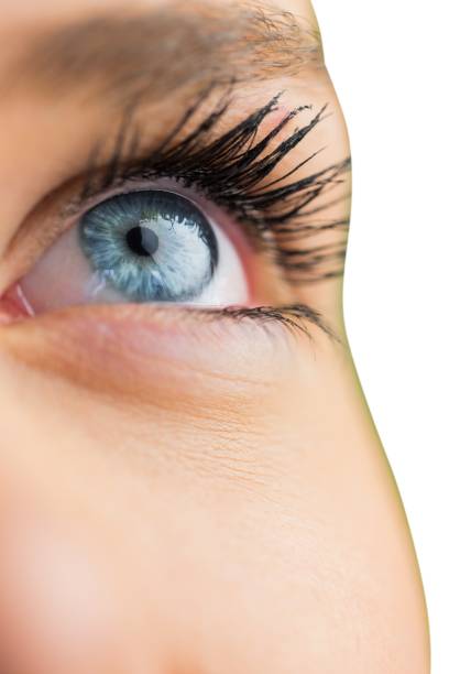 istock Close up of female blue eye 842253730