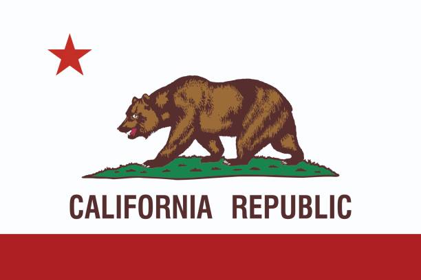 California State Flag. California State Flag. Vector illustration. symbols of california stock illustrations