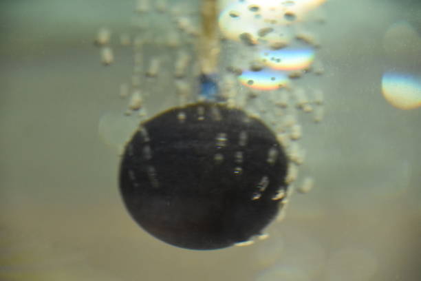 istock Water bubbles in the aquarium 842260346