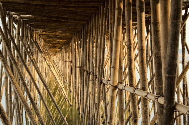 istock Bamboo bridge across Mekong river, Kampong Cham, Cambodia 842260642