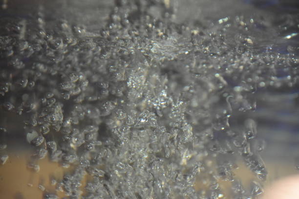 istock Water bubbles in the aquarium 842263296