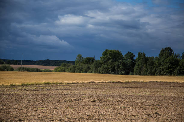 istock A beautiful country landscape with a wheat fields streching into distance. 842267334