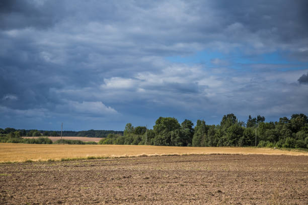 istock A beautiful country landscape with a wheat fields streching into distance. 842267380