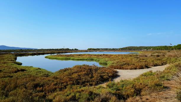 istock Porto Pino pond panoramic view. Sardinia, Italy 842272110