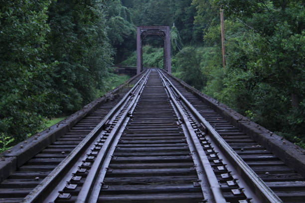 istock Mossy Train Track Bridge in the Deep Woods 842274264