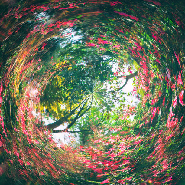 abstract swirled background of nature.