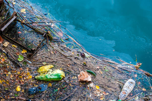 agua contaminación basura vieja y parches de aceite en la superficie del río - pollution sea toxic waste garbage fotografías e imágenes de stock