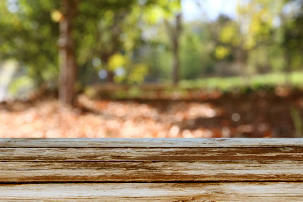 istock Empty table in front of blurry autumn background. Ready for product display montage 842298930