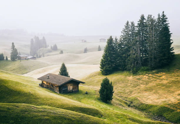 istock Alp of Siusi 842299638