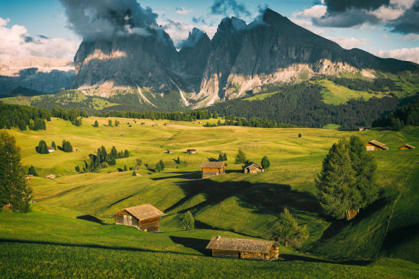 istock Alp of Siusi 842299644
