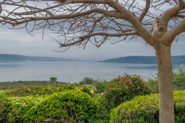 Lake of Galilee