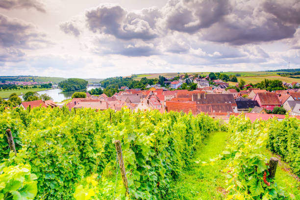 istock View over a vineyard and the village Wipfeld 842300038