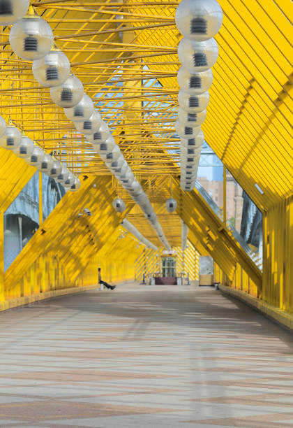 istock Bridge located between Luzhniki and Gorky Park in Moscow 842312008