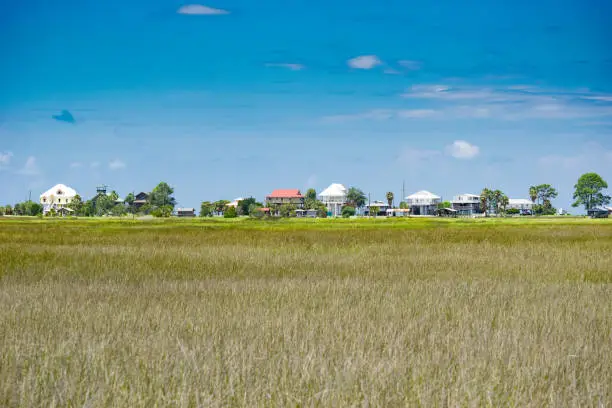 Summer homes on stilts above a coastal wetland in Florida.