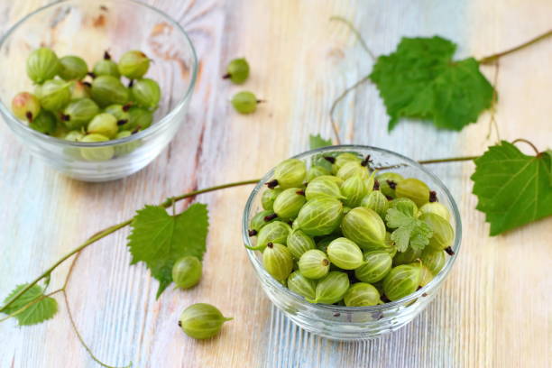 istock Ripe gooseberries in a bowl 842323892