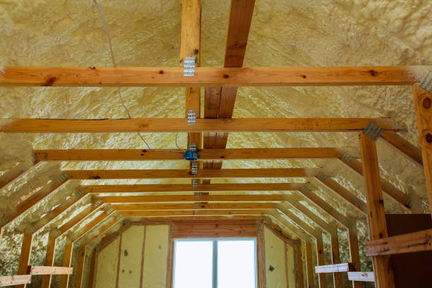 istock thermal and hidro insulation with spray foam at house construction 842325062