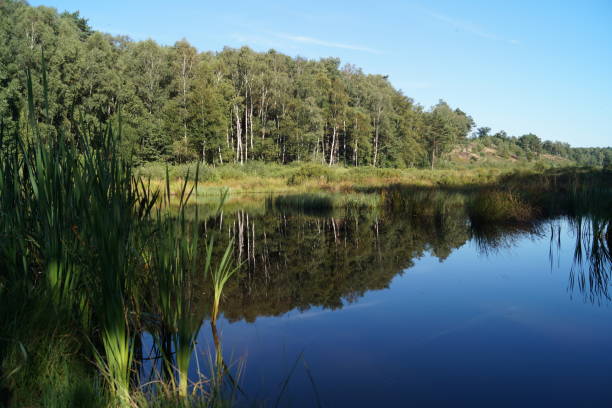 istock Nature reserve Fischbeker Heide 842330086