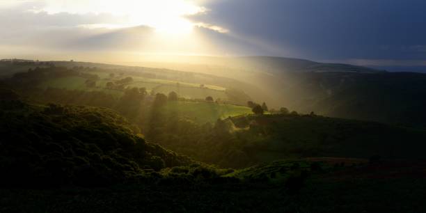 istock Horner Wood and Stoke Pero 842334352