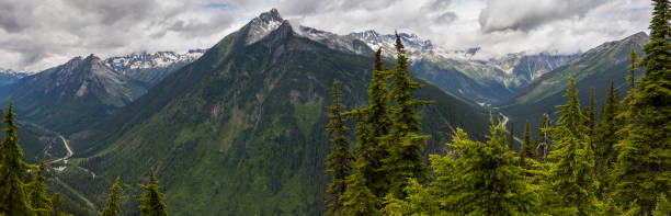 Panorama de Rogers Pass - foto de acervo